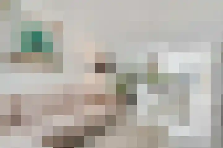 Werner Helmichstraat 4 Utrecht thumbnail 11