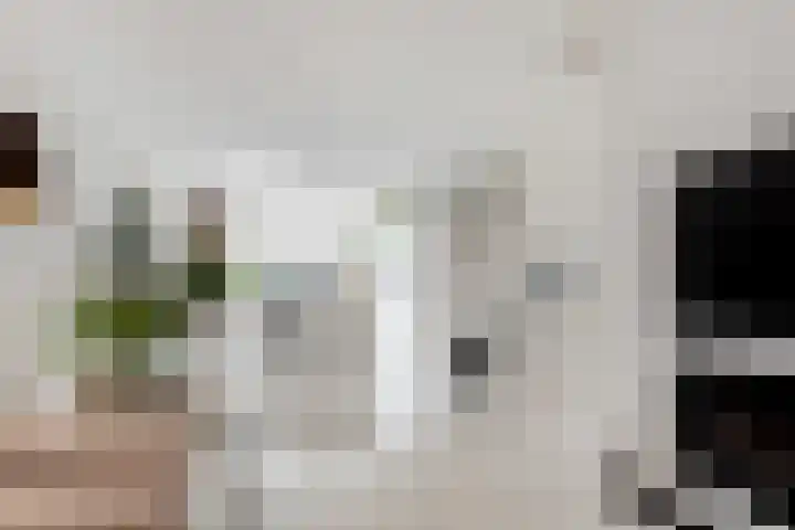 Werner Helmichstraat 4 Utrecht thumbnail 15