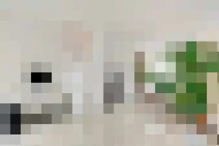 Werner Helmichstraat 4 Utrecht thumbnail 17