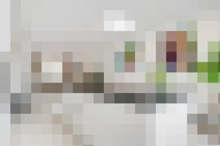 Werner Helmichstraat 4 Utrecht thumbnail 20