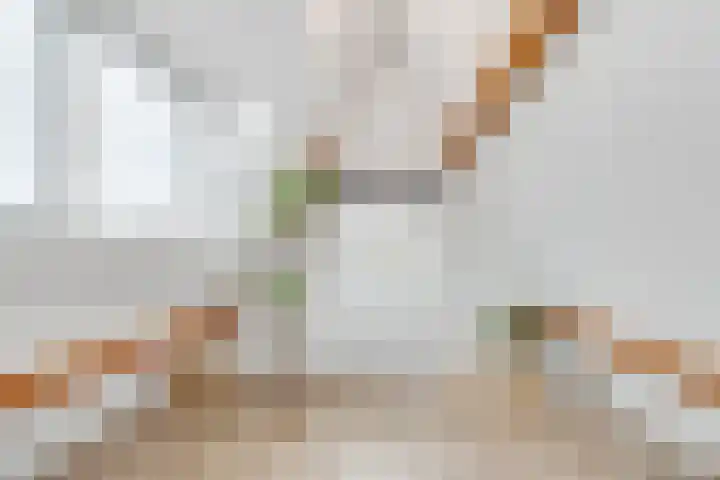 Werner Helmichstraat 4 Utrecht thumbnail 38