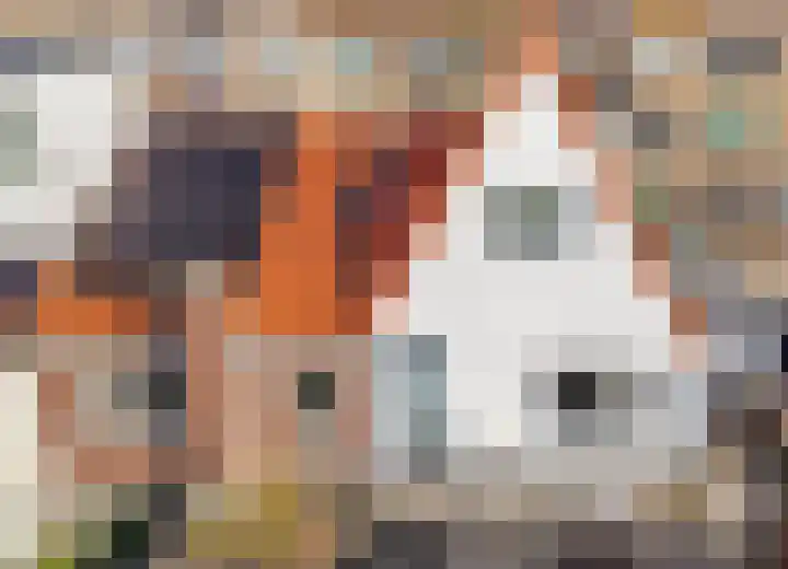 Werner Helmichstraat 4 Utrecht thumbnail 44