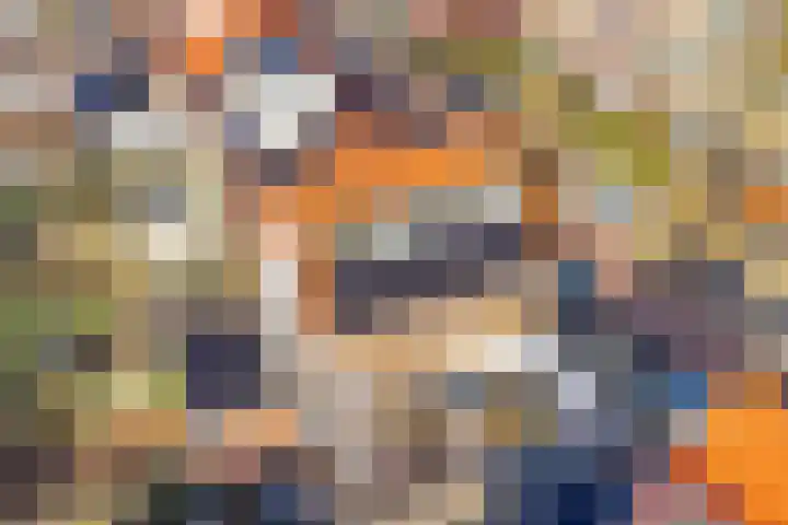 Werner Helmichstraat 4 Utrecht thumbnail 51