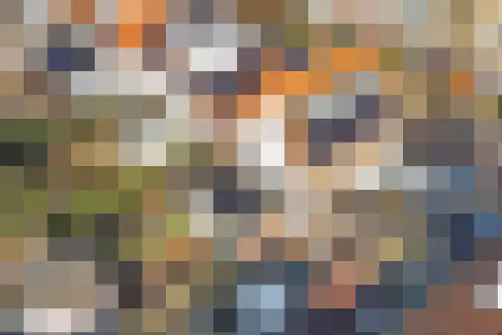 Werner Helmichstraat 4 Utrecht thumbnail 52