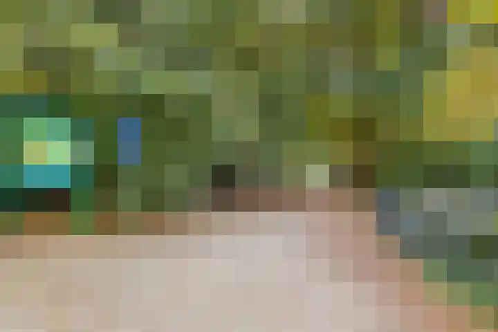 Werner Helmichstraat 4 Utrecht thumbnail 58