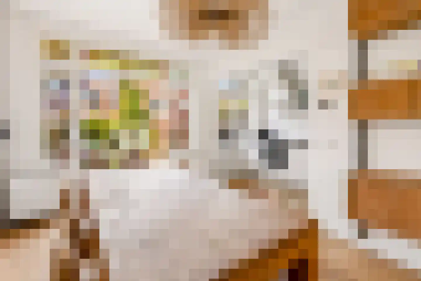 Werner Helmichstraat 44 Utrecht thumbnail 12