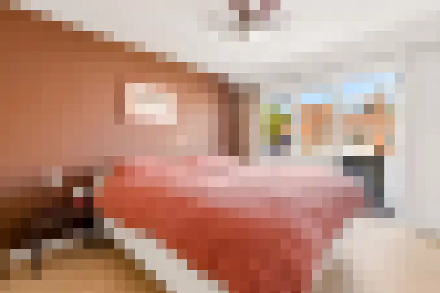 Werner Helmichstraat 44 Utrecht thumbnail 24