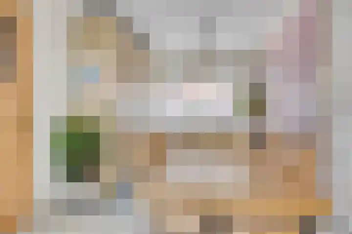 Werner Helmichstraat 48 Utrecht thumbnail 12