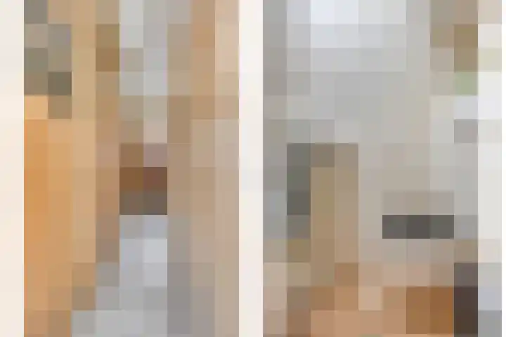 Werner Helmichstraat 48 Utrecht thumbnail 13