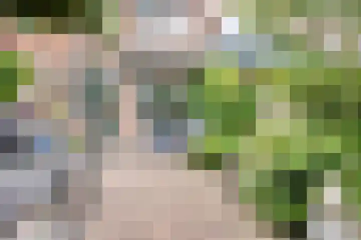 Werner Helmichstraat 48 Utrecht thumbnail 26