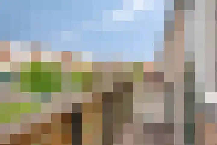 Werner Helmichstraat 48 Utrecht thumbnail 29