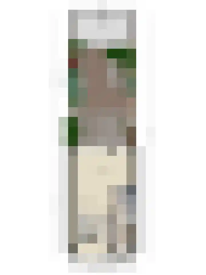 Werner Helmichstraat 48 Utrecht thumbnail 35