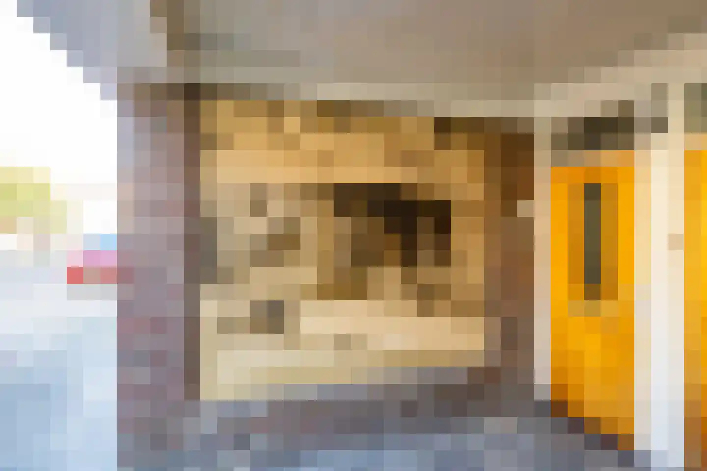 Werner Helmichstraat 49 Utrecht thumbnail 25