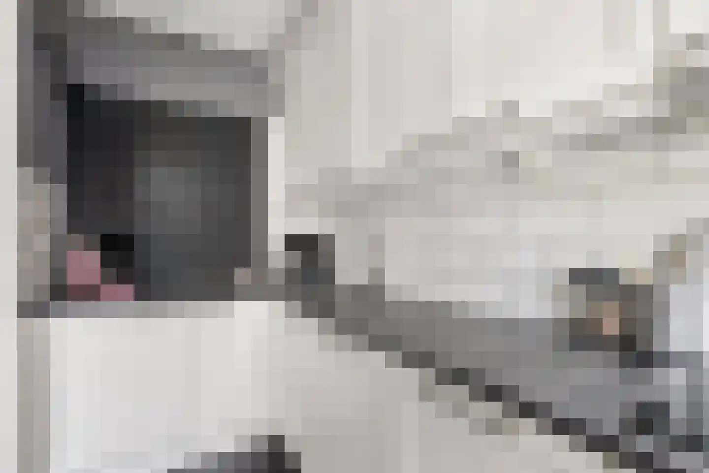 Werner Helmichstraat 60 Utrecht thumbnail 13