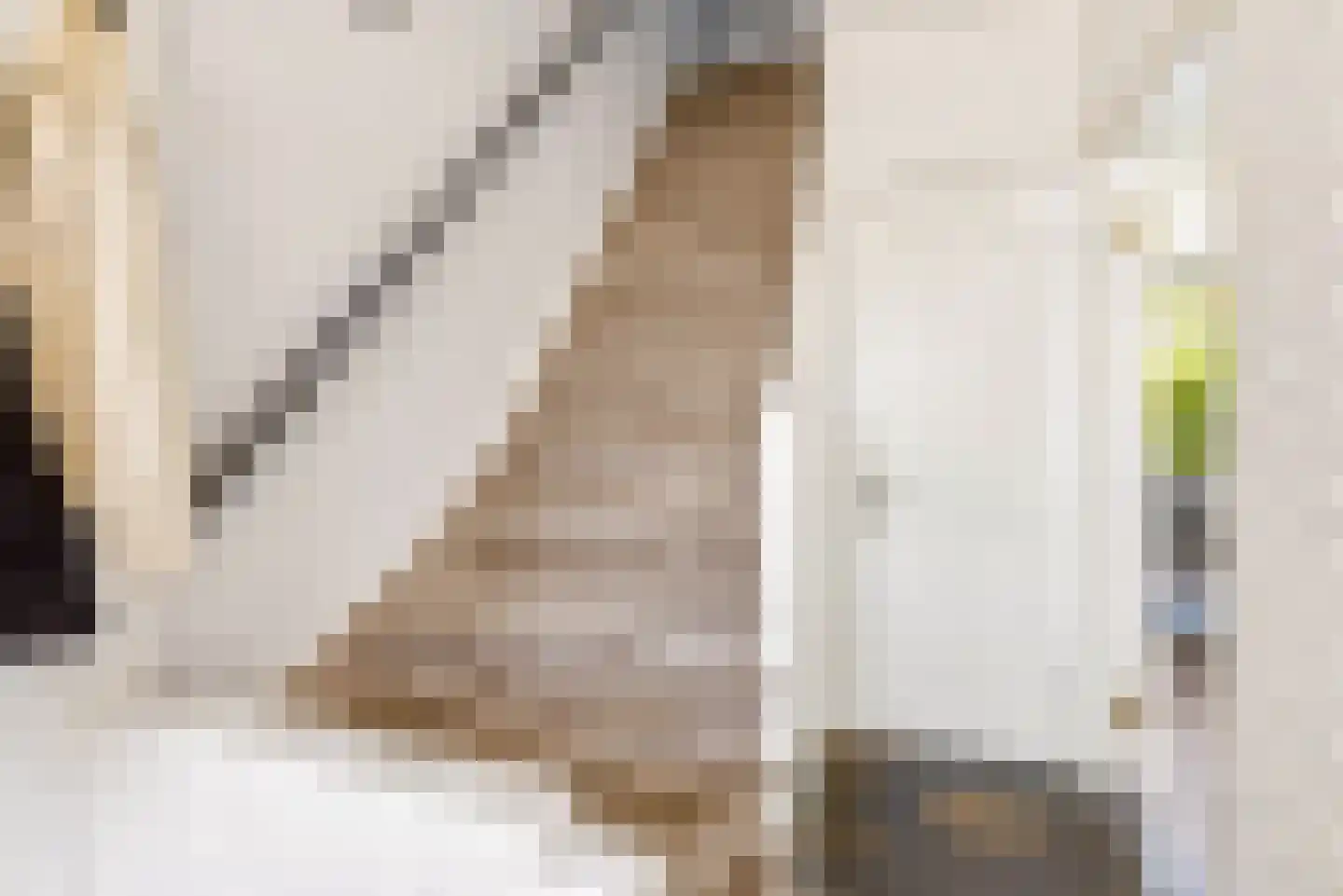 Werner Helmichstraat 60 Utrecht thumbnail 17