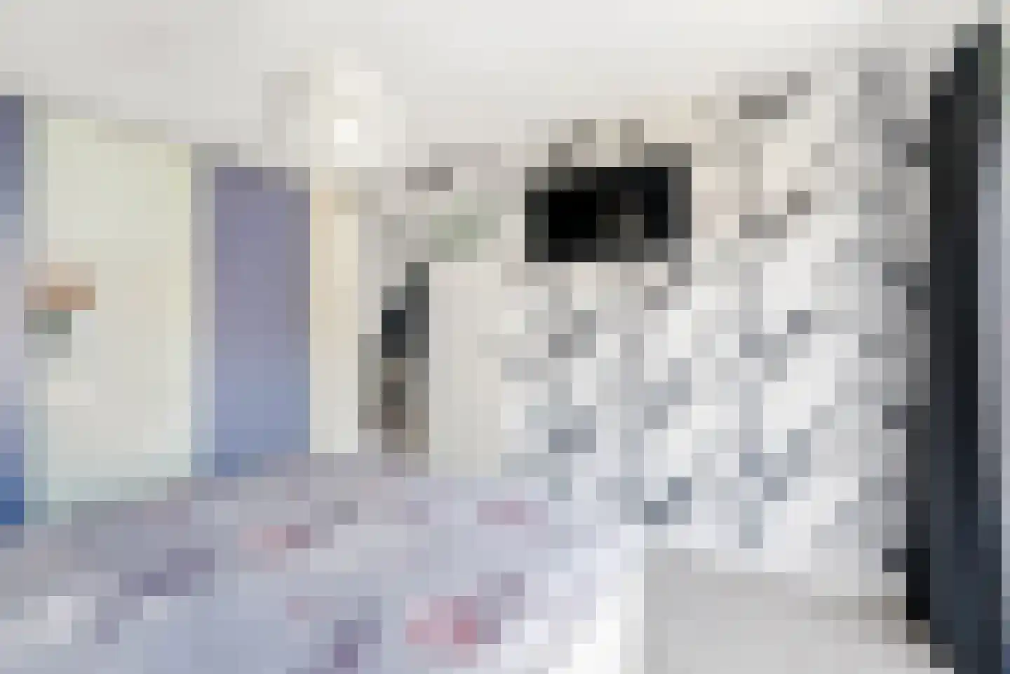 Werner Helmichstraat 60 Utrecht thumbnail 19