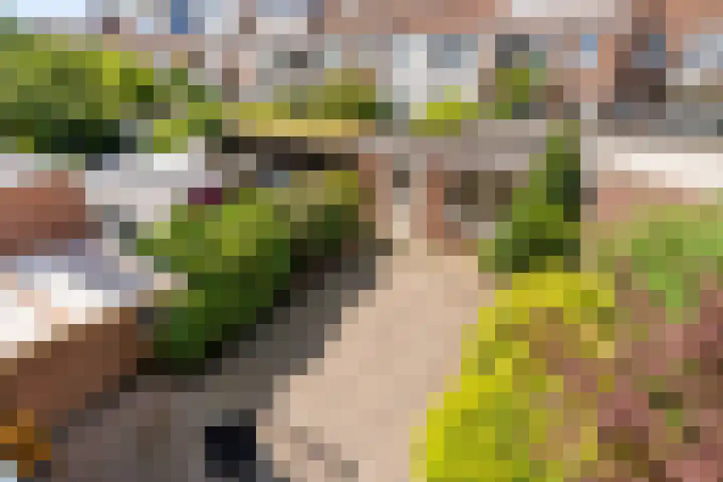 Werner Helmichstraat 60 Utrecht thumbnail 21