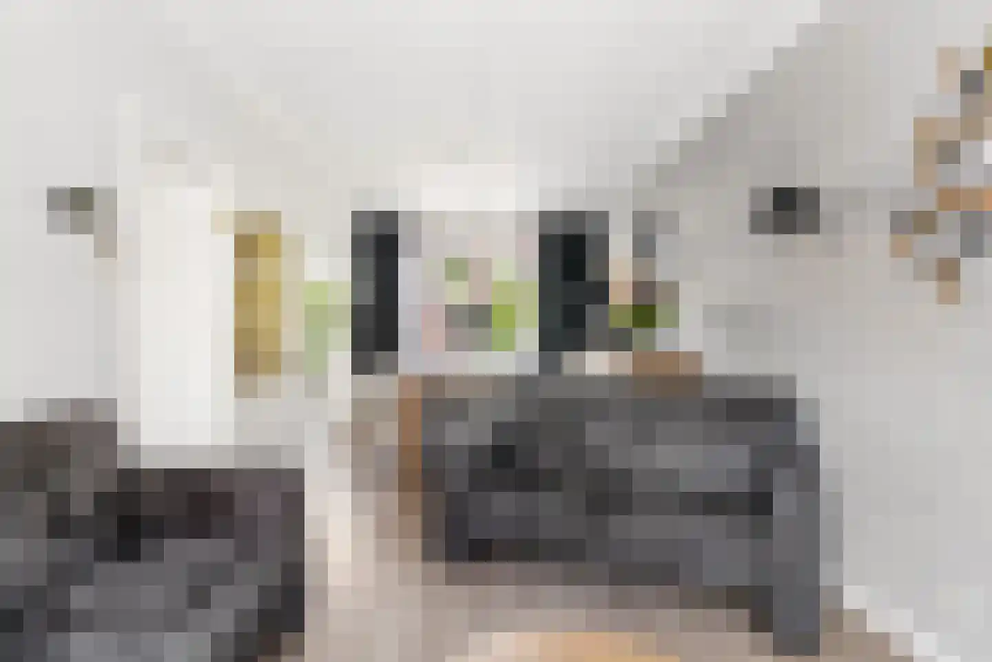 Werner Helmichstraat 60 Utrecht thumbnail 7