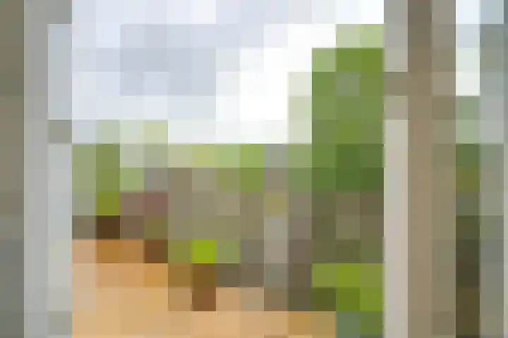 Werner Helmichstraat 63 A Utrecht thumbnail 11