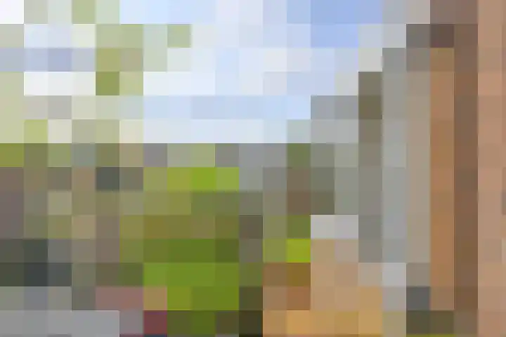 Werner Helmichstraat 63 A Utrecht thumbnail 12