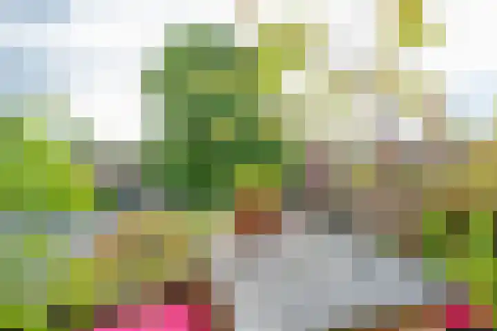 Werner Helmichstraat 63 A Utrecht thumbnail 13