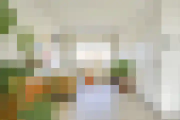 Werner Helmichstraat 63 A Utrecht thumbnail 18