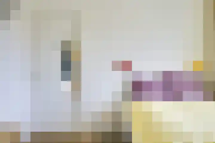 Werner Helmichstraat 63 A Utrecht thumbnail 23