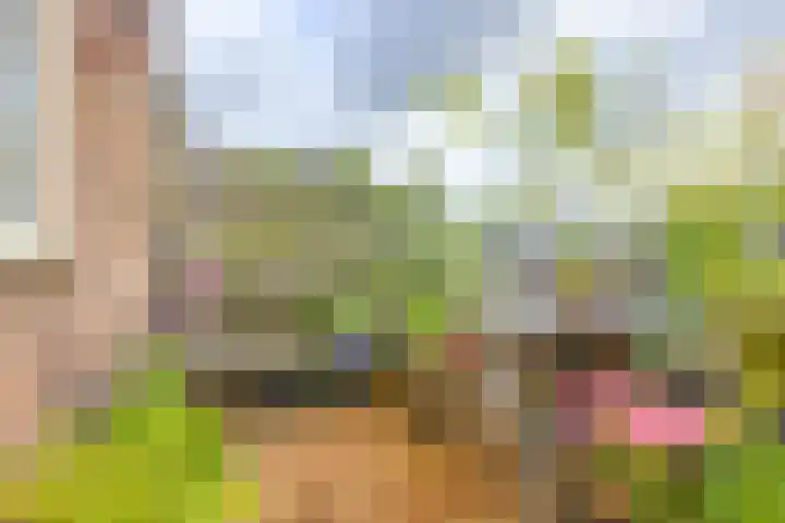 Werner Helmichstraat 63 A Utrecht thumbnail 4