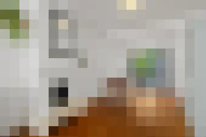 Werner Helmichstraat 67 Utrecht thumbnail 11