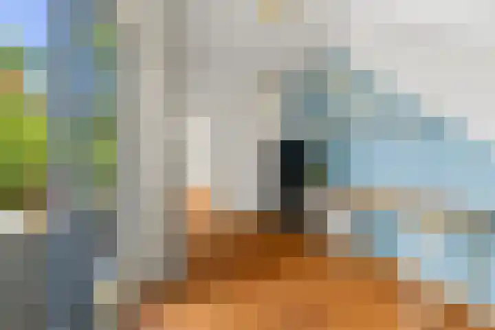 Werner Helmichstraat 67 Utrecht thumbnail 18
