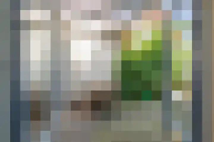 Werner Helmichstraat 67 Utrecht thumbnail 19