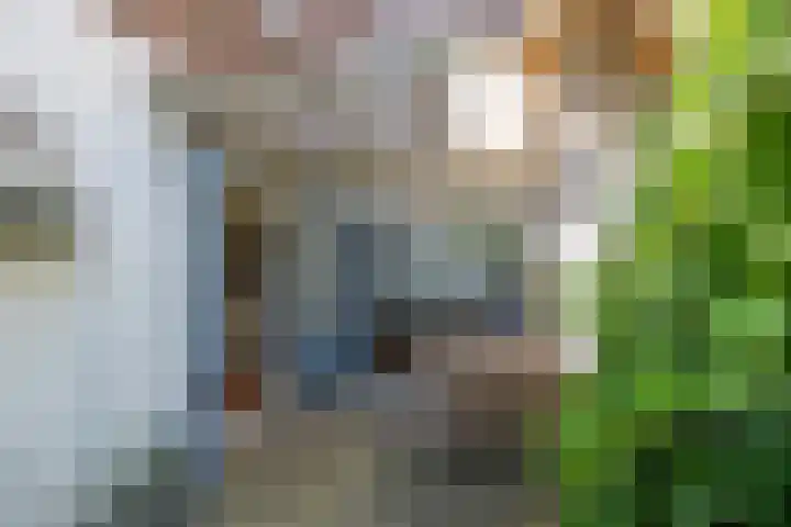 Werner Helmichstraat 67 Utrecht thumbnail 20