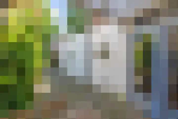 Werner Helmichstraat 67 Utrecht thumbnail 21