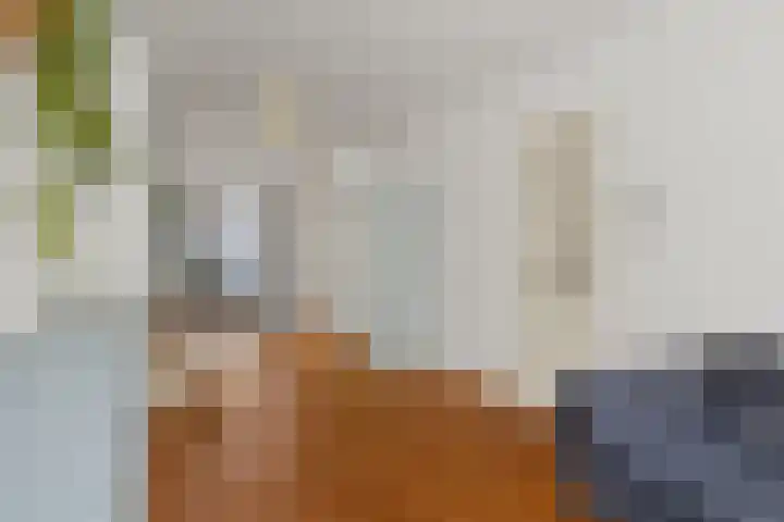 Werner Helmichstraat 67 Utrecht thumbnail 9