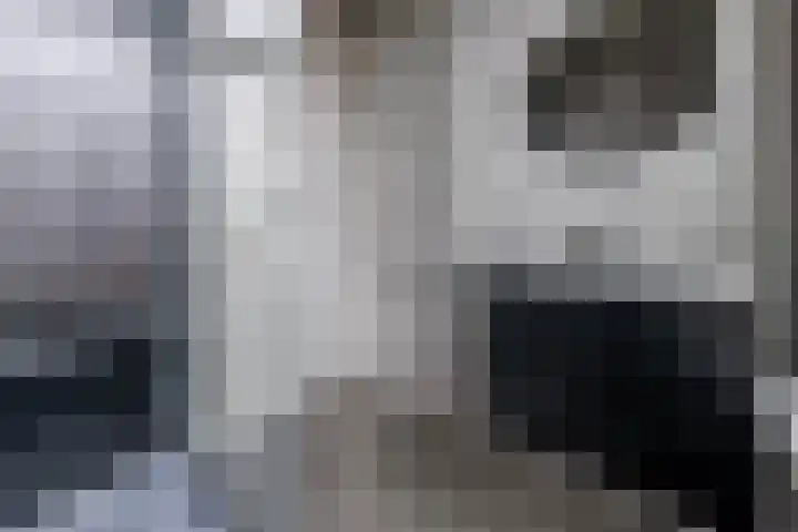 Werner Helmichstraat 71 Utrecht thumbnail 12