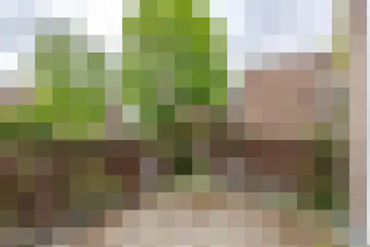 Werner Helmichstraat 71 Utrecht thumbnail 13