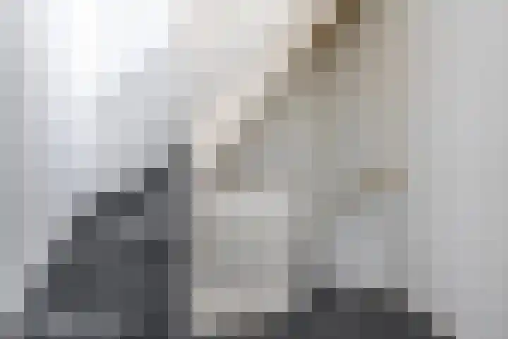 Werner Helmichstraat 71 Utrecht thumbnail 15