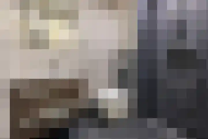 Werner Helmichstraat 71 Utrecht thumbnail 22