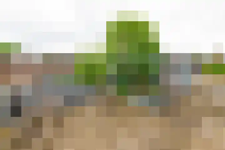 Werner Helmichstraat 71 Utrecht thumbnail 23