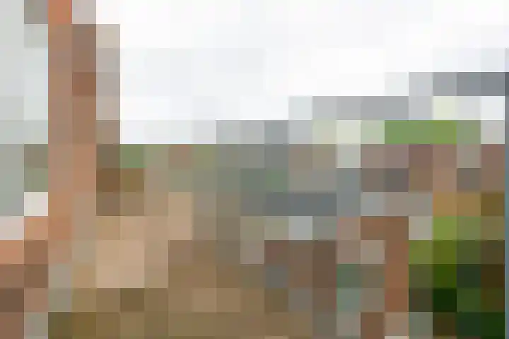 Werner Helmichstraat 71 Utrecht thumbnail 24