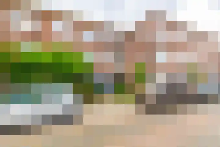 Werner Helmichstraat 71 Utrecht thumbnail 25