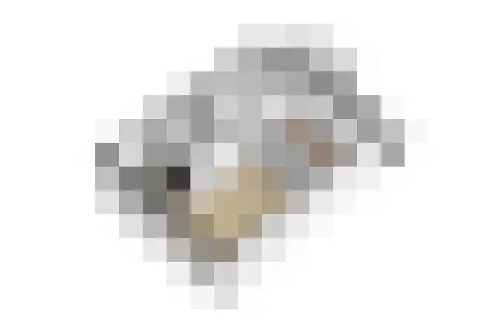 Werner Helmichstraat 71 Utrecht thumbnail 34
