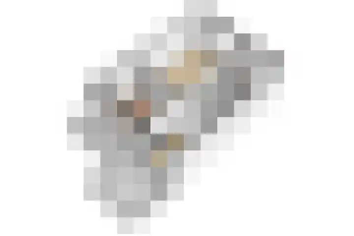 Werner Helmichstraat 71 Utrecht thumbnail 35