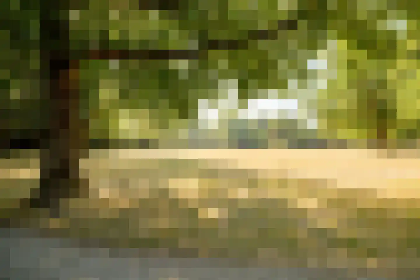 Werner Helmichstraat 87 Utrecht thumbnail 39