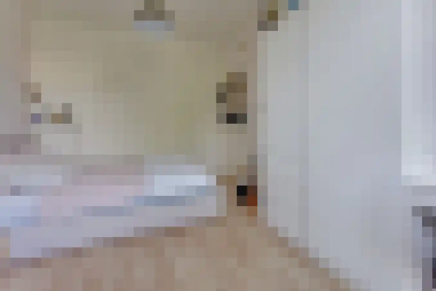 Werner Helmichstraat 9 Utrecht thumbnail 15