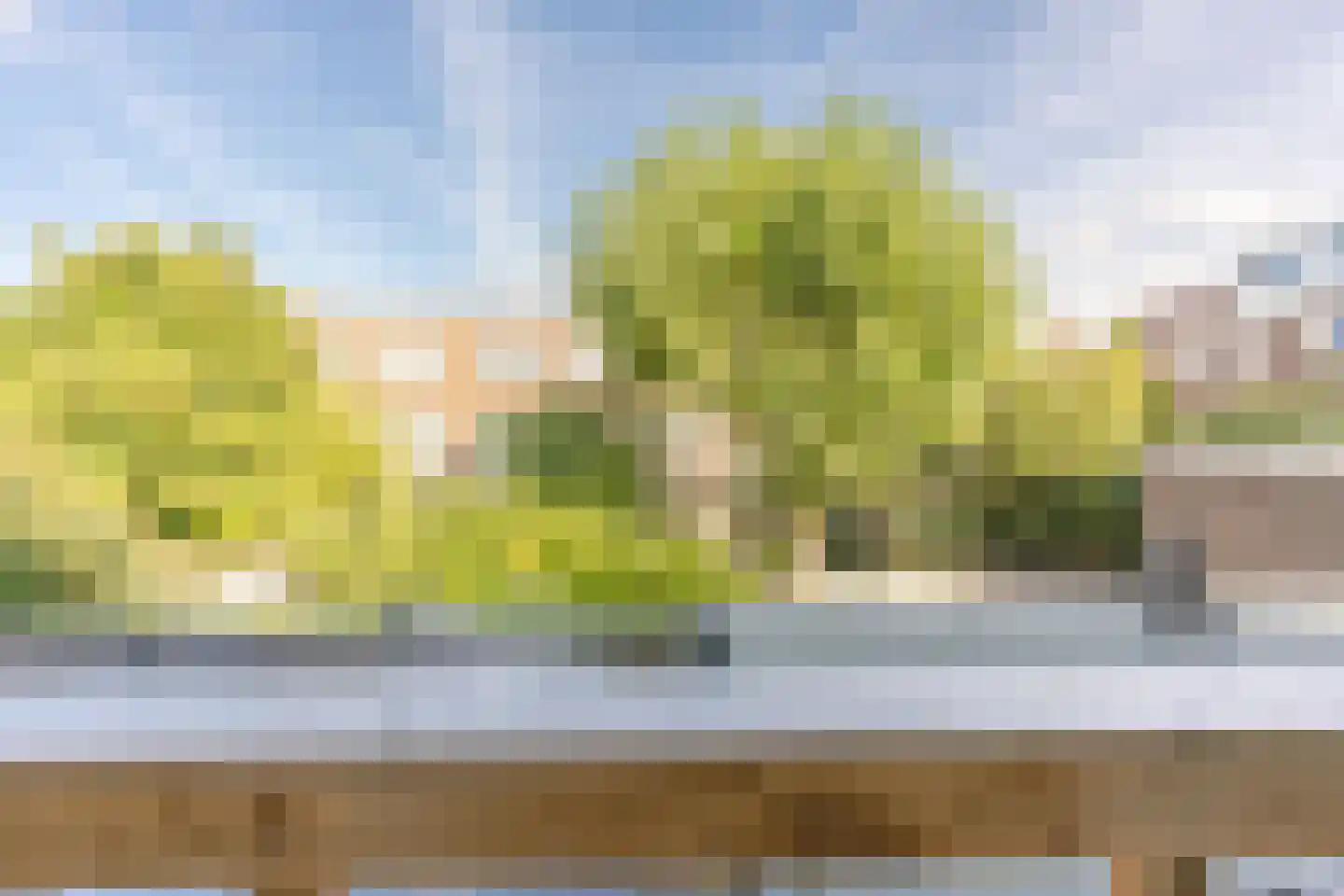 Werner Helmichstraat 9 Utrecht thumbnail 20