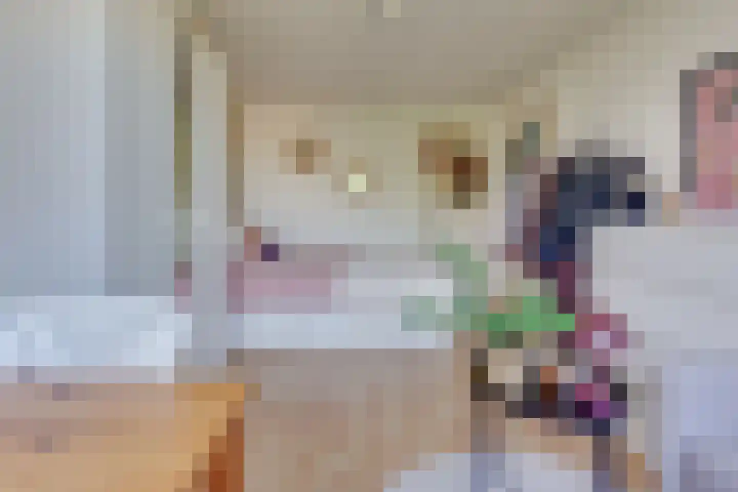 Werner Helmichstraat 9 Utrecht thumbnail 29