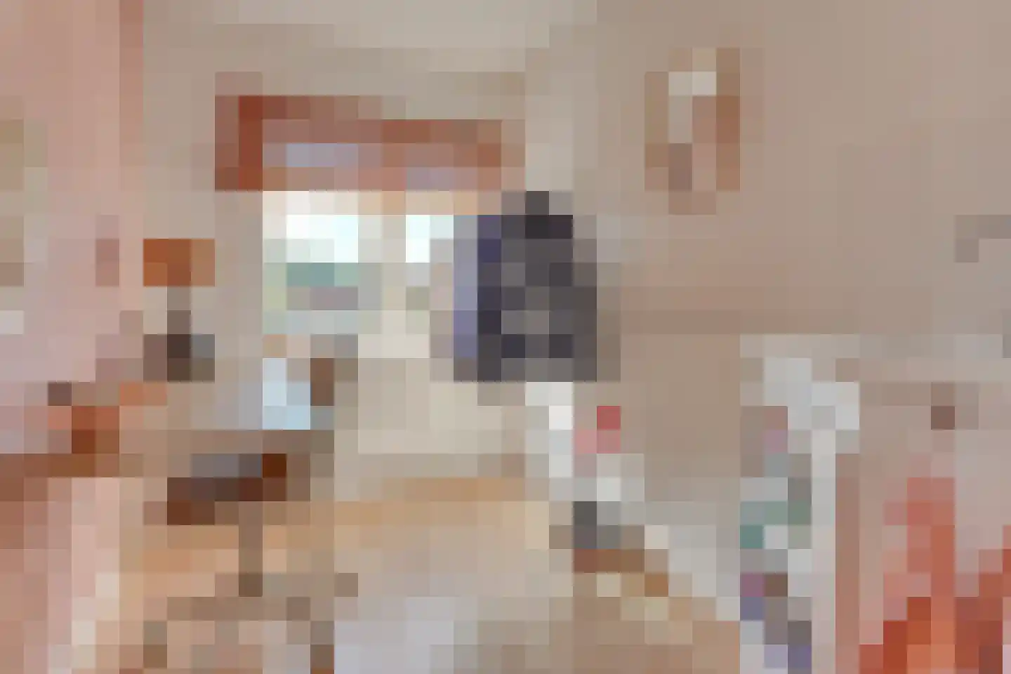 Werner Helmichstraat 9 Utrecht thumbnail 31