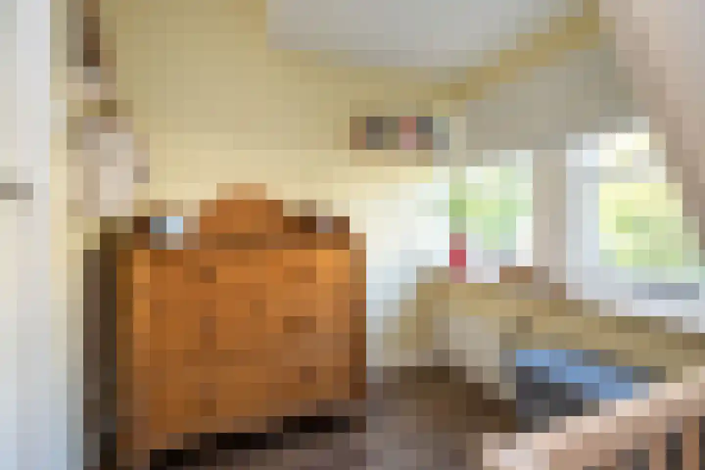 Wernerlaan 27 Dirksland thumbnail 28