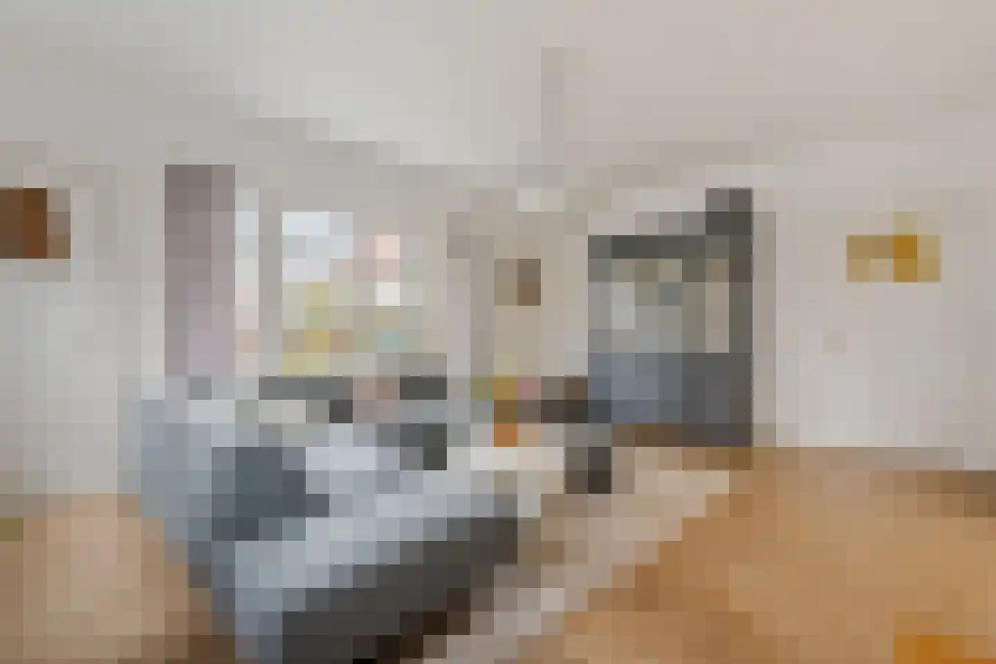 Wernerlaan 29 Hilversum thumbnail 19